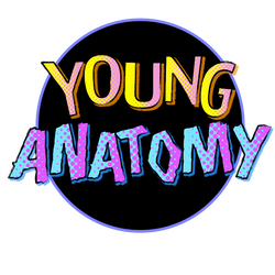 Young Anatomy 