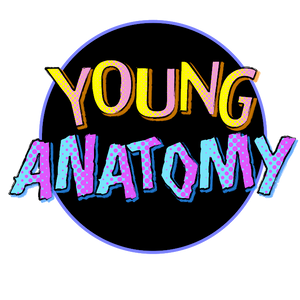 Young Anatomy 