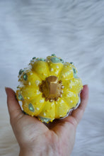 Load image into Gallery viewer, The Sponge and the Star Pumpkins