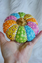 Load image into Gallery viewer, Flat Rainbow Pumpkin