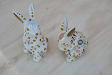 Load image into Gallery viewer, Luminous Leapers