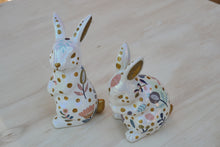 Load image into Gallery viewer, Luminous Leapers