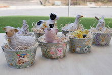 Load image into Gallery viewer, The Barnyard Beauties