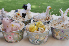 Load image into Gallery viewer, The Barnyard Beauties