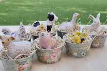 Load image into Gallery viewer, The Barnyard Beauties