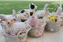 Load image into Gallery viewer, The Barnyard Beauties