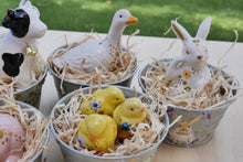 Load image into Gallery viewer, The Barnyard Beauties