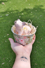 Load image into Gallery viewer, The Barnyard Beauties