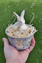 Load image into Gallery viewer, The Barnyard Beauties