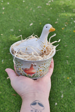 Load image into Gallery viewer, The Barnyard Beauties