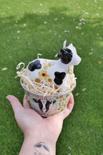 Load image into Gallery viewer, The Barnyard Beauties