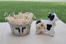 Load image into Gallery viewer, The Barnyard Beauties