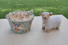 Load image into Gallery viewer, The Barnyard Beauties