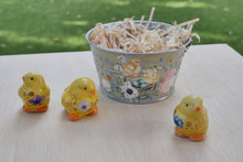 Load image into Gallery viewer, The Barnyard Beauties