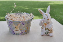 Load image into Gallery viewer, The Barnyard Beauties