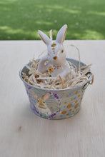 Load image into Gallery viewer, The Barnyard Beauties