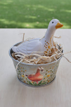 Load image into Gallery viewer, The Barnyard Beauties