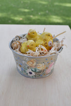 Load image into Gallery viewer, The Barnyard Beauties