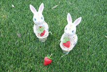 Load image into Gallery viewer, Strawberry Bunny