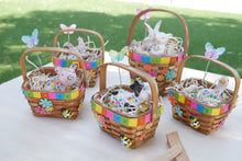 Load image into Gallery viewer, Rainbow Farm Animals