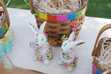 Load image into Gallery viewer, Rainbow Farm Animals