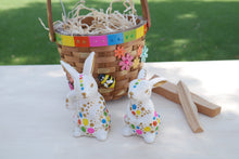 Load image into Gallery viewer, Rainbow Farm Animals