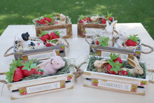 Load image into Gallery viewer, Strawberry Farm Animals
