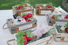 Load image into Gallery viewer, Strawberry Farm Animals