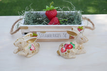 Load image into Gallery viewer, Strawberry Farm Animals