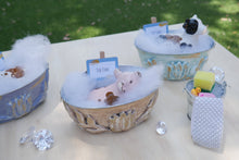 Load image into Gallery viewer, Farm Animals - Tub Time