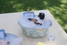 Load image into Gallery viewer, Farm Animals - Tub Time