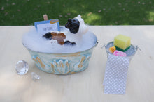 Load image into Gallery viewer, Farm Animals - Tub Time