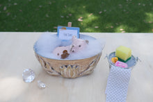 Load image into Gallery viewer, Farm Animals - Tub Time