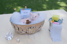 Load image into Gallery viewer, Farm Animals - Tub Time