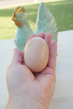 Load image into Gallery viewer, Mint Julep Primitive Chicken