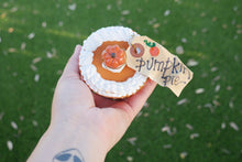 Load image into Gallery viewer, Mini Pumpkin Pie - Fake Pie Box
