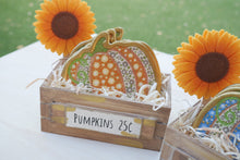 Load image into Gallery viewer, Pumpkin Coasters