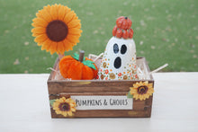 Load image into Gallery viewer, Pumpkins and Ghouls