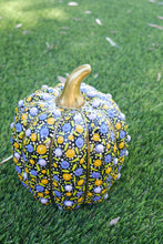 Load image into Gallery viewer, Retro Pumpkins