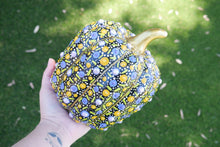 Load image into Gallery viewer, Retro Pumpkins