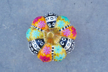 Load image into Gallery viewer, Tradition with a Twist Pumpkin