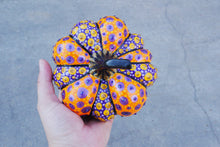 Load image into Gallery viewer, The Witch's Pumpkin