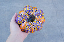 Load image into Gallery viewer, The Witch's Pumpkin