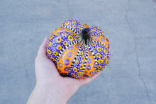 Load image into Gallery viewer, The Witch's Pumpkin