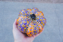 Load image into Gallery viewer, The Witch's Pumpkin