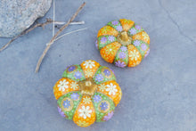 Load image into Gallery viewer, The Spring Pumpkin