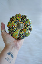 Load image into Gallery viewer, Goldie Lime Pumpkin