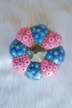 Load image into Gallery viewer, Pretty Pink Pumpkin