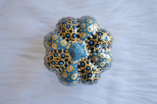 Load image into Gallery viewer, The Dark Teal Pumpkin