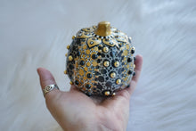 Load image into Gallery viewer, The Midnight Pumpkin